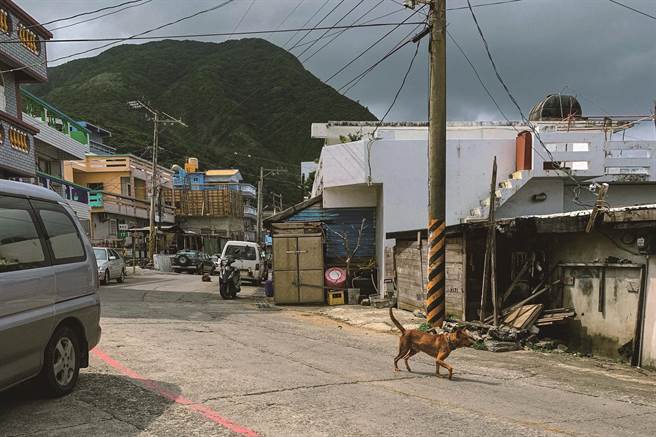 《一起来玩吧！》展出作品。（作者提供）