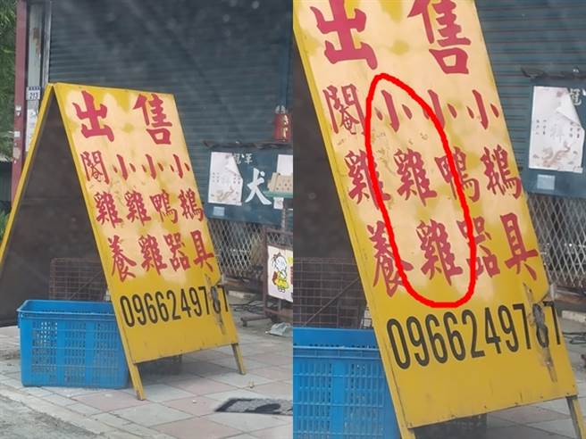 1名网友日前在路边发现1处招牌写「出售小鸡鸡」，让他大感害羞，直说「请问有大鸡鸡可以买吗？」不过后来发现仅是因招牌的排版闹出的笑话。（翻摄自脸书「路上观察学院」）