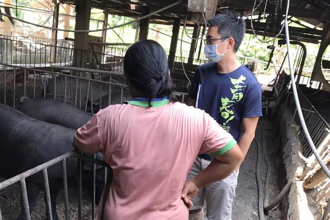 新竹县严查养猪场厨余，阻绝非洲猪瘟病毒入侵。（新竹县政府提供／罗浚滨新竹传真）