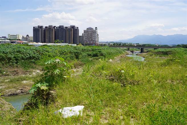 朴子溪荖藤里沿岸草木丛生，第五河川局改善堤防施工。（王美惠立委服务处提供）