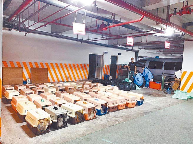 （图／本报系资料照）