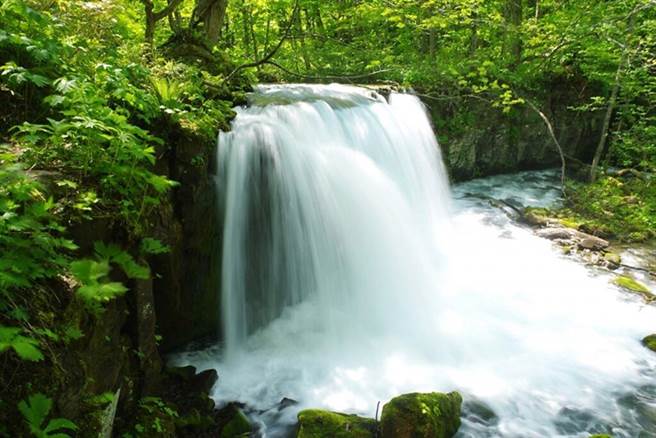 奧入瀨溪全程最具代表性的銚子大瀑布，高7公尺、寬20公尺，震撼力十足。(圖/日本旅行情報局提供)