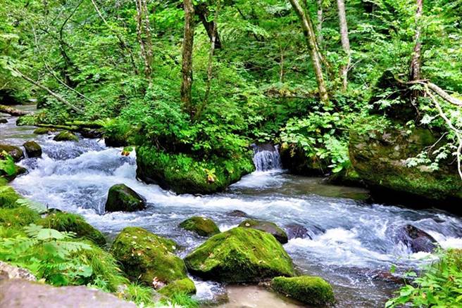 ▲遠離塵囂，一起躲進奧入瀨溪流裡度假吧！（圖：日本旅行情報局／提供）