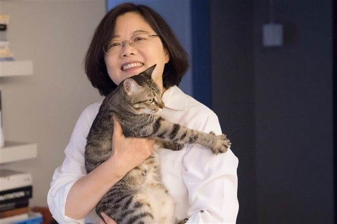 总统蔡英文爱猫形象鲜明。（图／取自蔡英文脸书）