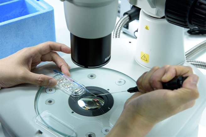 试管婴儿补助上路，求子父母再添「生机」。但数据显示，全台胚胎植入成功率仅5成，生殖权威医师破解重复植入失败的临床秘辛。(图/TFC臺北妇产科诊所生殖中心提供)