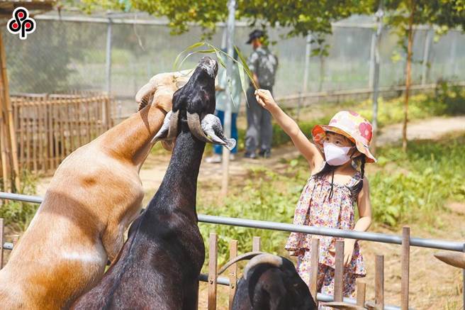 農委會副主委陳添壽表示，今年配合五倍券，方式上會有所調整，農遊券配合五倍券就是「長胖長高」，雖然確切方案還在討論中，但面額絕對比去年高，數字也會很吉利。（本報系資料照）