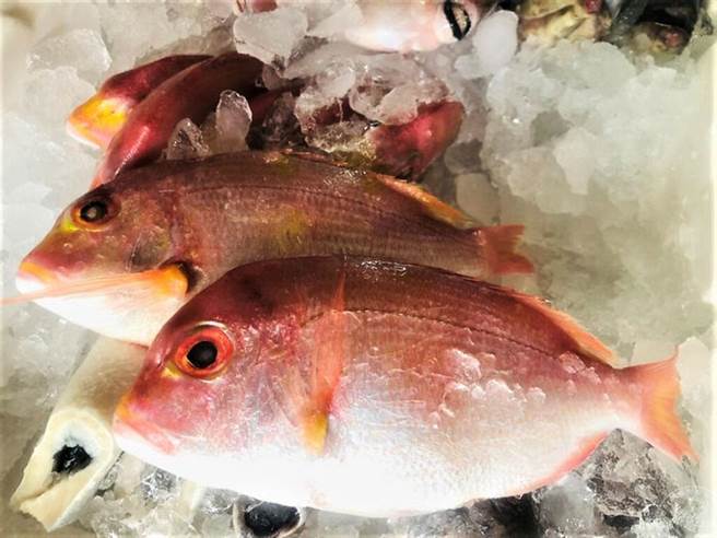 当令赤鯮的肉质鲜嫩肥美，无论是清蒸、油炸或红烧都能品尝美好滋味（图片：新北市政府渔业处提供）