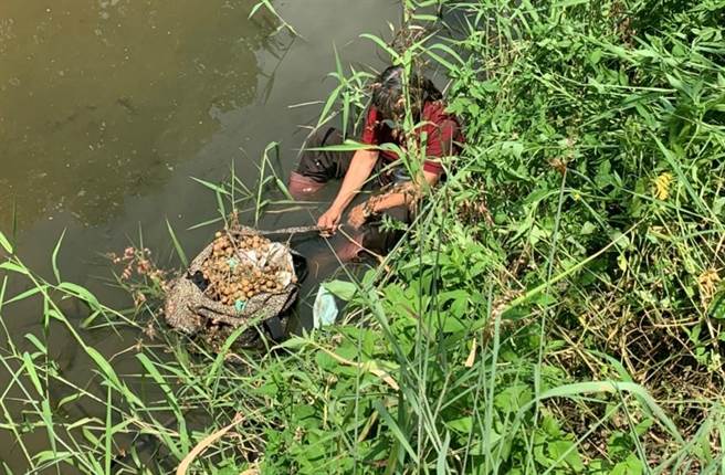 台南市官田区何姓老妇摔落大排。（读者提供／刘秀芬台南传真）