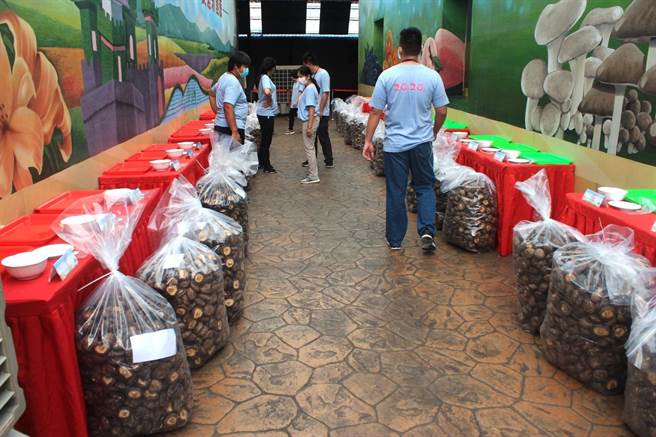 台中新社16班菇類產銷班從323名菇農中，推薦30組「特菇」晉級決選。（新社區農會提供／王文吉台中傳真）