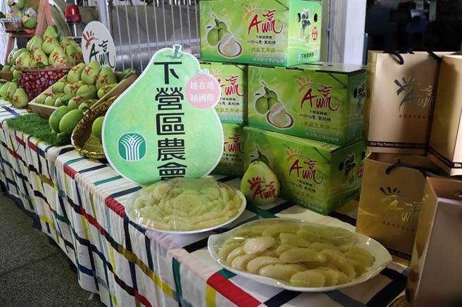 台南市下營區文旦參加評價屢屢得獎，農會收購7.5萬台斤文旦助產銷，「A贏」品牌文旦開始出貨。（劉秀芬攝）