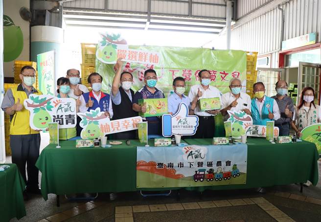 台南市下營區文旦參加評價屢屢得獎，農會收購7.5萬台斤文旦助產銷，「A贏」品牌文旦開始出貨。（劉秀芬攝）