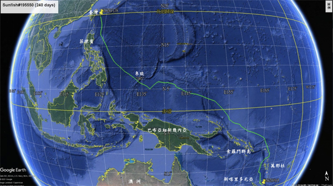 三尾（编号＃195549、＃195550及＃195553）为鲔延绳钓作业所混获之花纹翻车鲀，于鱼体背部配置标识器后随即野放，分别歷经78天、150天及240天，标识器分别于日本冲绳、新喀里多尼亚及巴布亚纽几内亚附近海域脱离鱼体回传讯息。其中编号＃195550标识器于弹脱鱼体后，先漂流再被冲刷上新喀里多尼亚的海岸，标识器上的记录资料高达700万笔，包括温度、深度与位置、光照度等讯息，不仅创渔业科学在单一翻车鲀所搜集的资料量，更是翻车鲀跨越赤道大悠游行为的首次记录。（水试所提供）