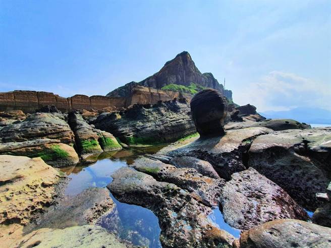 野柳地质公园因女王头名闻遐迩，园区9月将开放今年最后一檔「女王的秘密花园」深度地质体验游程。（野柳地质公园提供）