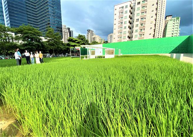 建商在基地动工前大都会设置围篱隔绝工地，但联聚希望能让空置期的基地，有更温暖、友善邻里的空间。（卢金足摄）