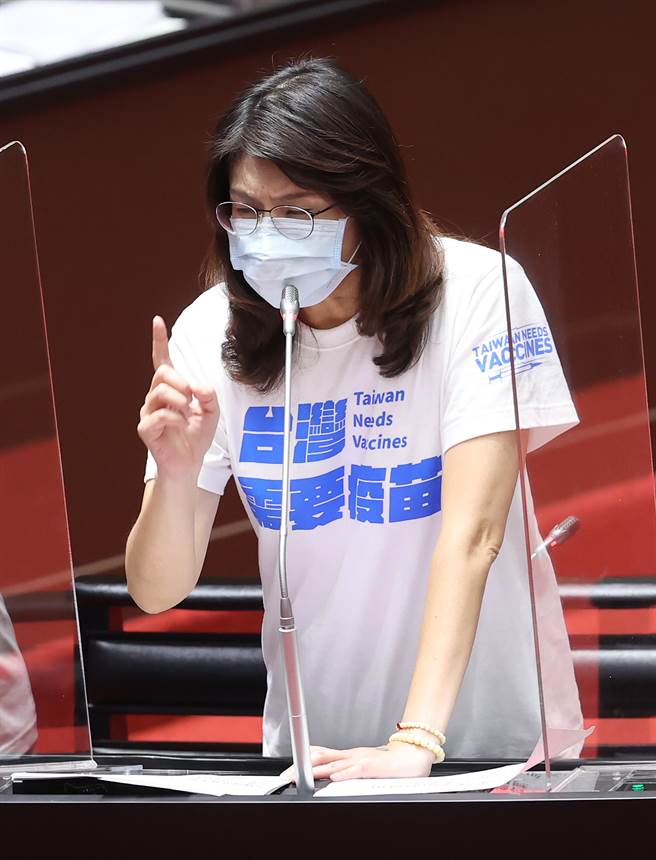 国民党立委郑丽文（图）。（资料照/台北市摄影记者联谊会提供）
