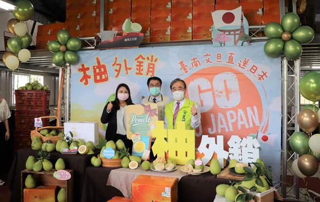 台南文旦25日由產地集貨外銷日本，部分文旦將贈予日本政要及學校供應師生營養午餐。（劉秀芬攝）