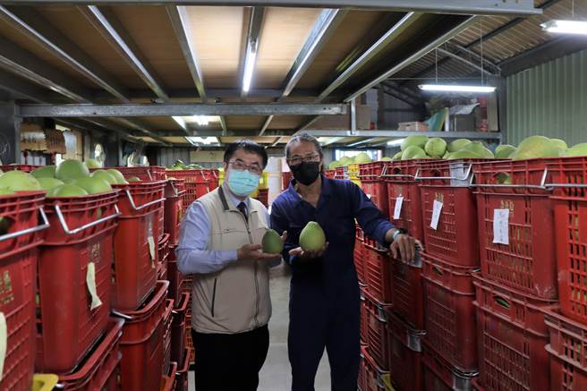 5012柚意思果園文旦今年再度銷日，柚農李佳翰（右）也加入「台灣下單 日本取貨」服務。（劉秀芬攝）