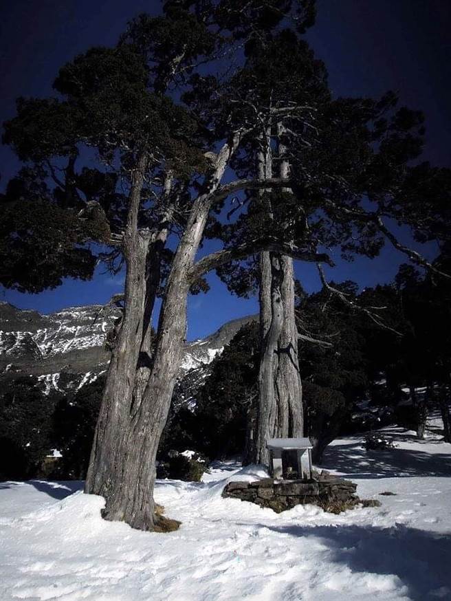 全台位处最高、位在海拔3520公尺的雪山翠池土地公庙，四周有珍贵玉山圆柏纯林，雪霸国家公园管理处24日表示，考量部分登山民眾焚香祭拜稍有不慎恐酿火警，已循民间习俗礼仪将土地公请下山，乔迁安奉在八仙山国家森林游乐区土地公庙。（中央社提供）