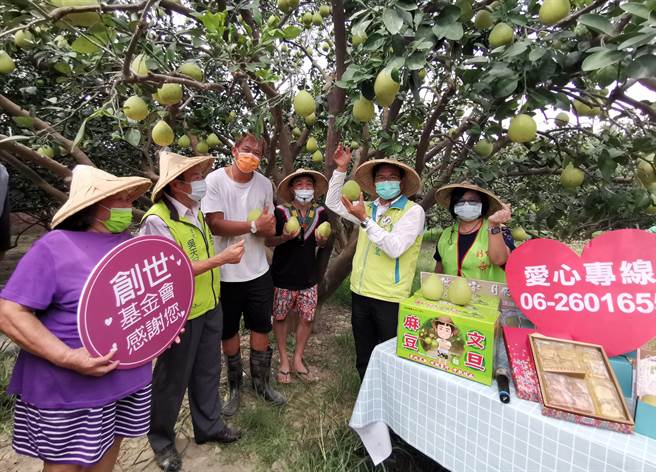 麻豆柚农李彦明（左三）连7年捐文旦助创世基金会义卖，台南市议员陈秋宏（右二）、网红「Basso瞩目」（右三）到柚园相挺。（刘秀芬摄）
