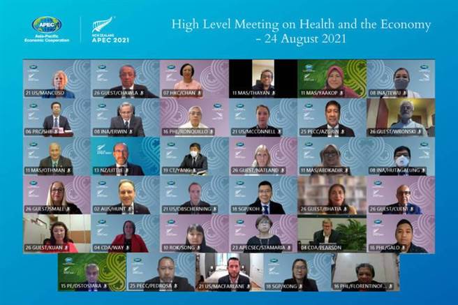 衛福部長陳時中視訊出席APEC部長級會議。（APEC秘書處提供）