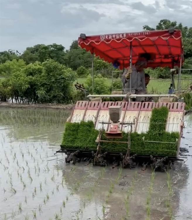 水情稳定桃园、新竹二期稻作整田插秧完成。（北水局提供／吕筱蝉桃园传真）
