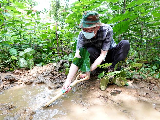 为了营造适合诸罗树蛙栖息之处，中正大学通识教育中心助理教授陆维元在该校后山试掘生态池。（中正大学提供／张亦惠嘉县传真）