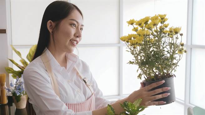 从风水角度来看，在住家特定地点摆放盆栽可以催旺财运。（示意图／shutterstock）