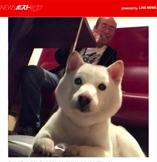 志村健与爱犬「殿君」。（取自News Post Seven，志村健IG）