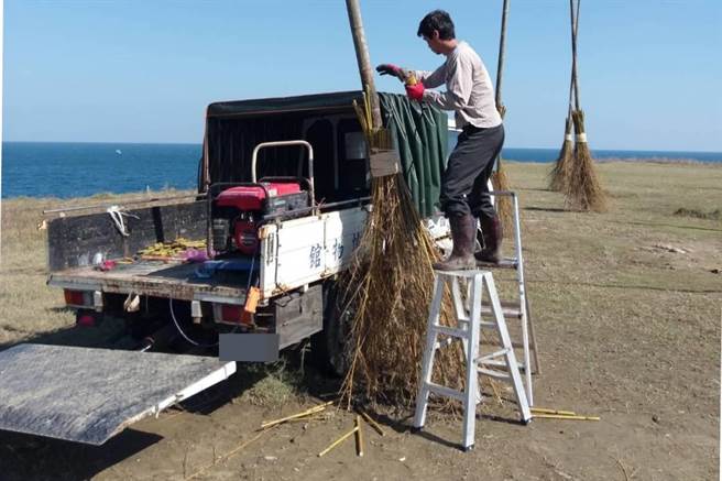 国立海洋科技博物馆表示，近期将视竹子与天候状况，进行修补，预计9月底补齐12支飞天扫帚。（国立海洋科技博物馆提供／陈彩玲基隆传真）