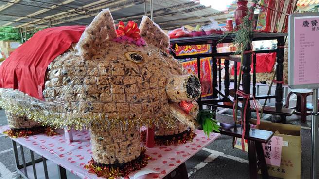 250斤沙琪玛神猪。（赖佑维摄）