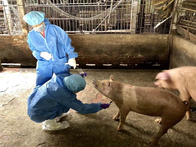 高雄市长陈其迈今天中午召集市府各相关单位，并指示全面启动各项防堵措施，防范非法商品流入市面。(高雄市农业局提供／林雅惠传真)
