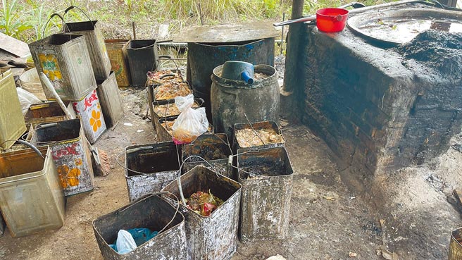 新北万里区某养猪场饲养15头猪只，违法使用厨余饲养被罚3万元。（新北市动保处提供／陈慰慈新北传真）