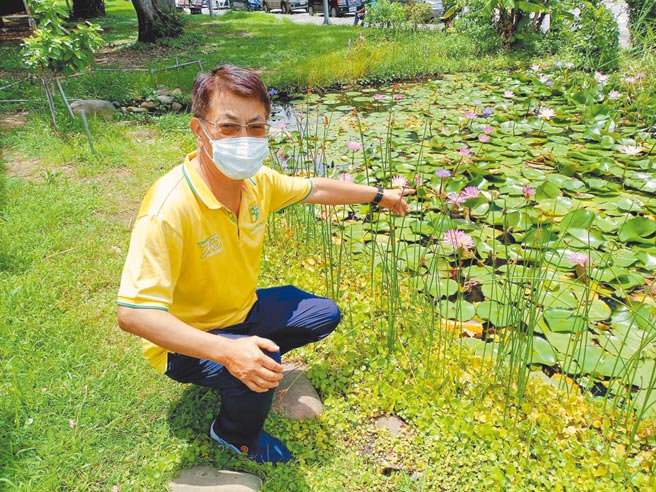 创立约5年的食物森林，是当地志工周伯通（见图）与其他志工妈妈整理，他笑说自己农校毕业，照顾起来得心应手，希望与更多人分享栽种乐趣。（邱立雅摄）