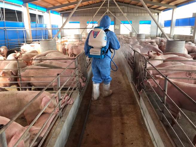 农业局今天上午动员稽查员到全市442处养猪厂稽查，全力围堵非洲猪瘟疫情。(高雄市农业局提供／林雅惠传真)