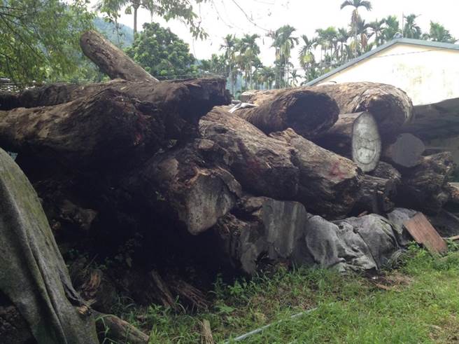 桥头地检署与基隆警方打击不法购买珍贵林木。（翻摄照片／林瑞益高雄传真）