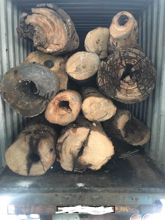 桥头地检署与基隆警方打击不法购买珍贵林木。（翻摄照片／林瑞益高雄传真）