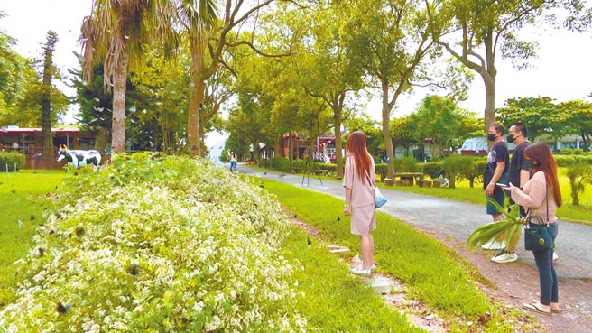 台東縣政府日前提出「疫後振興經濟方案」編列4200萬元，讓台東縣民在縣內微旅行。圖為台東觀光景點初鹿牧場照片。（蔡旻妤攝）