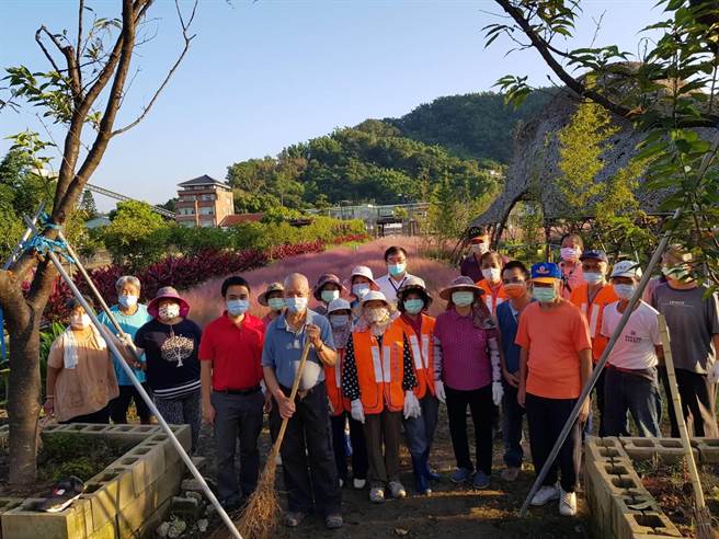 集集镇环保志工，巡视粉黛乱子草是否扩散。（集集镇公所提供／廖志晃南投传真）