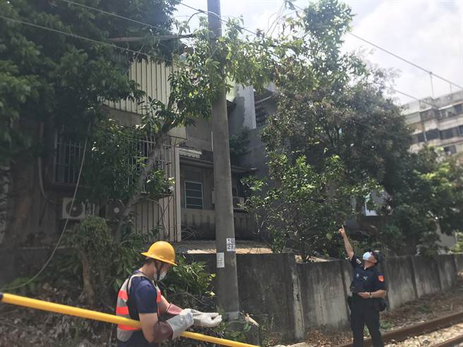 民眾鋸樹木傾倒壓到台鐵電車線，影響10車次列車。（台鐵提供／羅浚濱新竹傳真）