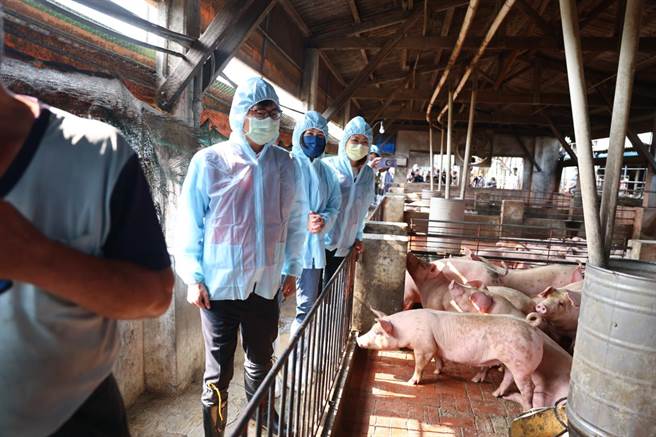 高雄市长陈其迈说，中央每头猪补助500元，高雄再加码补助100元，来协助养猪业者能够从厨余饲养改成饲料饲养，全力保护台湾猪。(林雅惠摄)