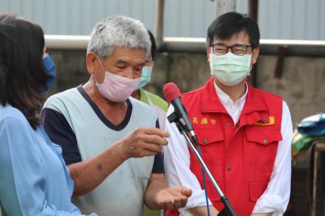 高雄市长陈其迈说，中央每头猪补助500元，高雄再加码补助100元，来协助养猪业者能够从厨余饲养改成饲料饲养，全力保护台湾猪。(林雅惠摄)