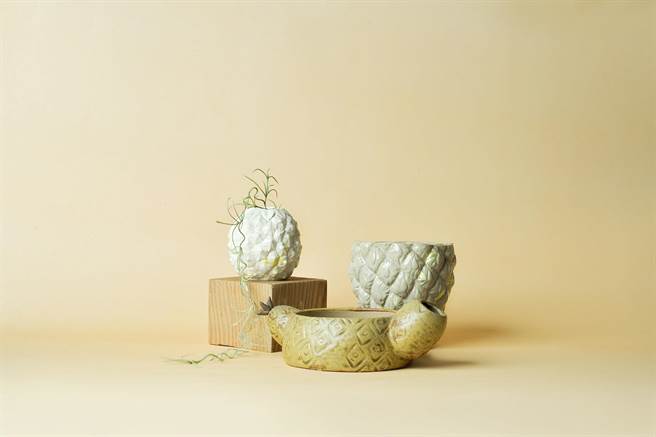 居家植人注意 質感盆器出清中。(圖/林欣儀傳真)