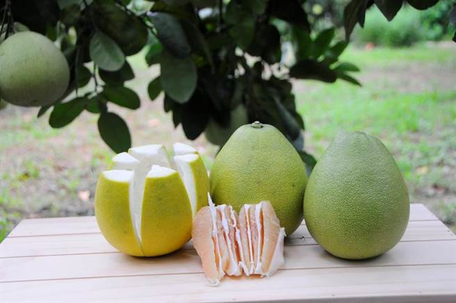 新北市農業局與八里農會9月初將舉辦文旦柚展售會，一次就可以購買歷屆的冠軍柚。（新北市農業局提供／葉書宏新北傳真）
