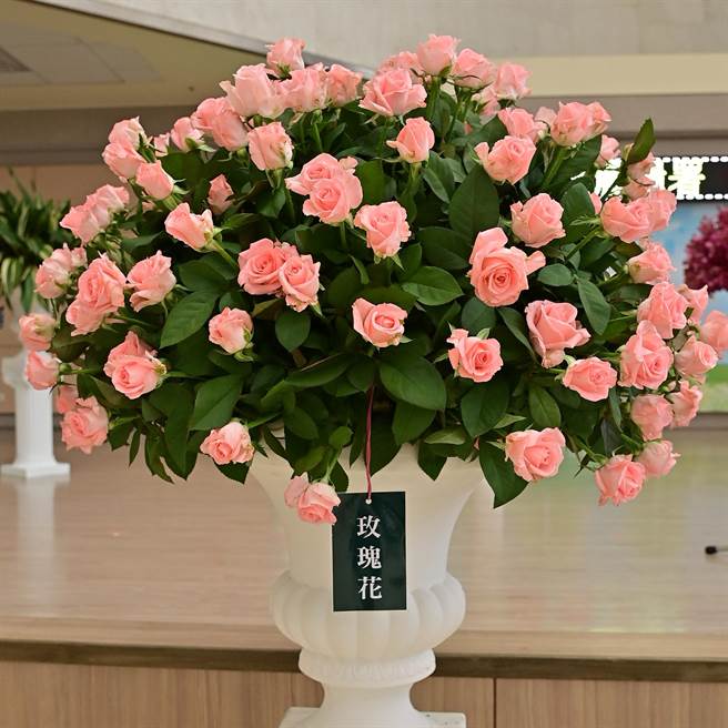 农委会表示，医护赠花让花卉平均批发价从40-50元提高到每把88.5元，相关措施深受花卉产销供应链相关人员肯定，有效纾解疫情期间花卉产业困境，预算执行绝对符合特别预算执行原则，绝无消化预算情事。（农粮署提供）