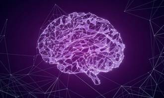 研究人員發現了人類大腦的機制！我們可以自動連接腦中的物體
