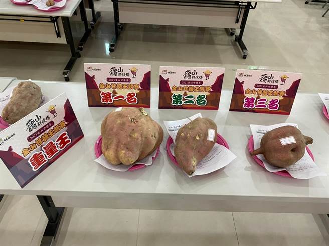 重量王前3名甘藷。（金山区公所提供）