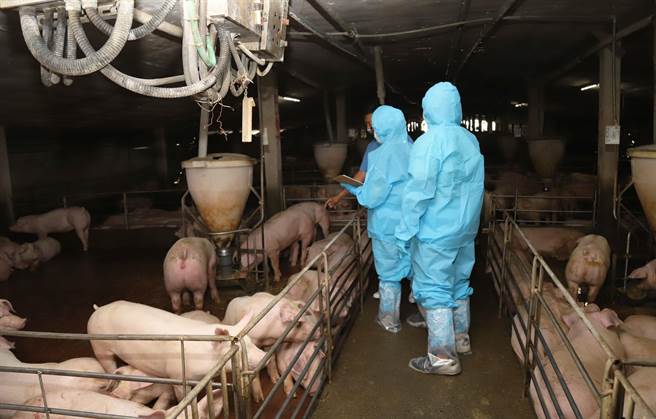 嘉义县家畜疾病防治所表示，禁令上路后会突击检查，一旦发现有违法情况，将全面开罚，届时厨余套餐罚锾最低8万元起跳！（嘉义县政府提供∕吕妍庭嘉义传真）