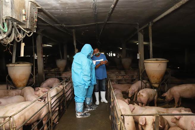 嘉义县家畜疾病防治所表示，禁令上路后会突击检查，一旦发现有违法情况，将全面开罚，届时厨余套餐罚锾最低8万元起跳！（嘉义县政府提供∕吕妍庭嘉义传真）