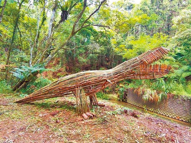 南投县涩水森林步道以蕨类分布广泛着称，有「侏儸纪公园」美名，近来打造完成1座3公尺高的「竹暴龙」，相当吸睛。（摘自陈秋坤脸书）