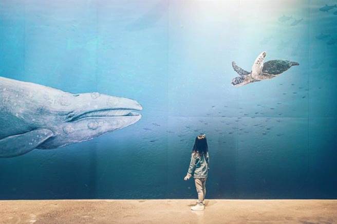 IG@suns_travel_photography（图／ReadyGo提供）